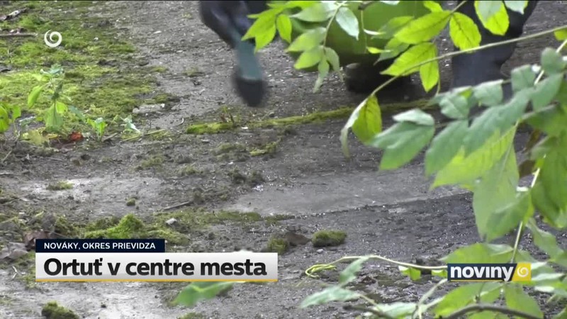 Ortuť v centre mesta