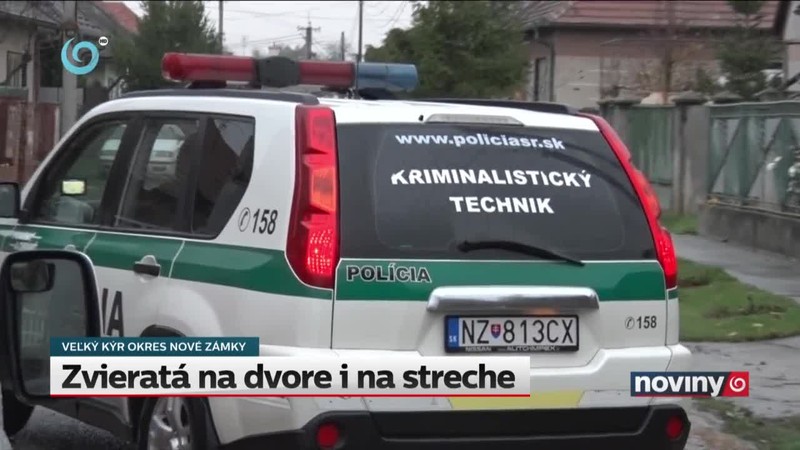 Zvieratá na dvore i na streche
