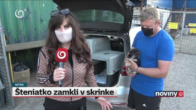 Šteniatko zamkli v skrinke