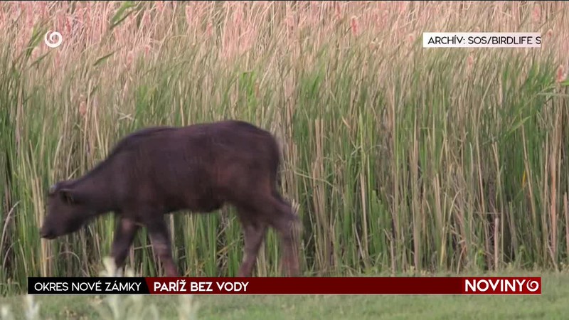 PARÍŽ BEZ VODY