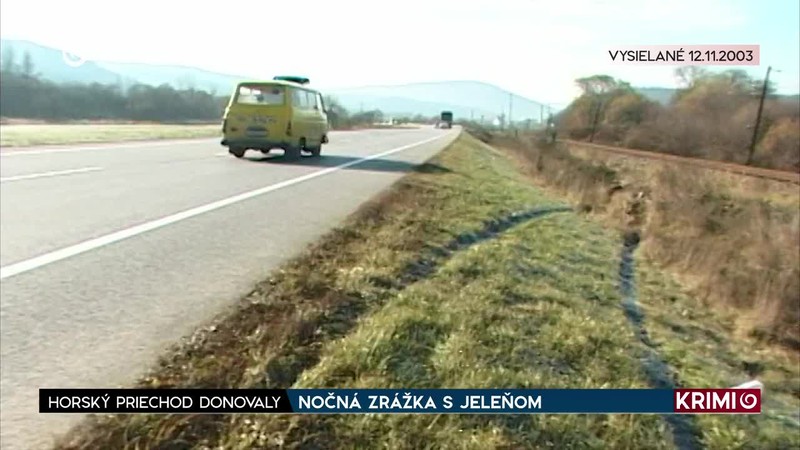 NOČNÁ ZRÁŽKA S JELEŇOM