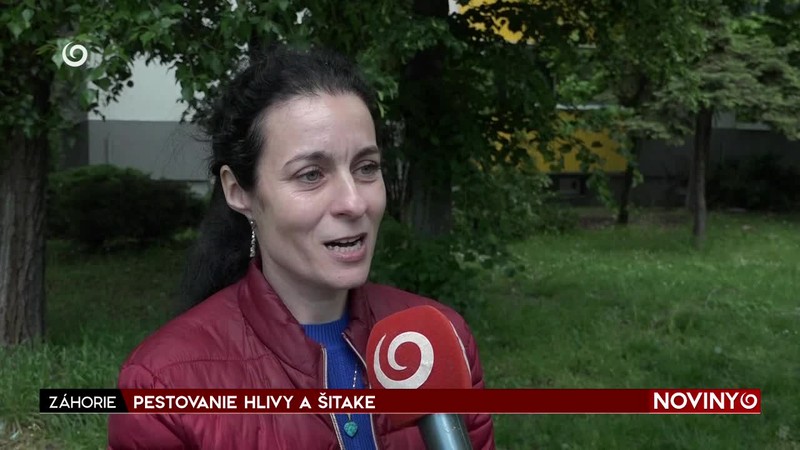 PESTOVANIE HLIVY A ŠITAKE