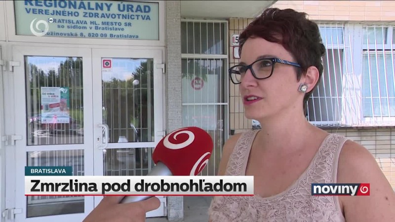 Zmrzlina pod drobnohľadom