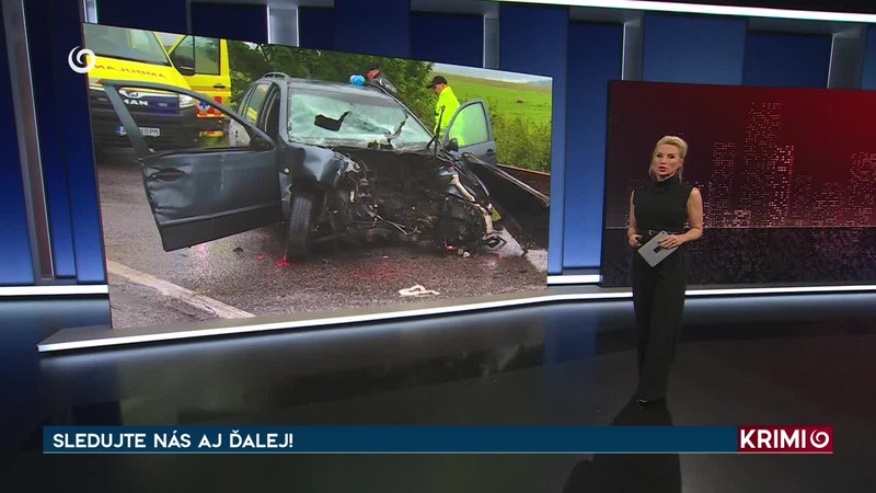 VODIČ AUTOBUSU VRAZIL DO STROMU