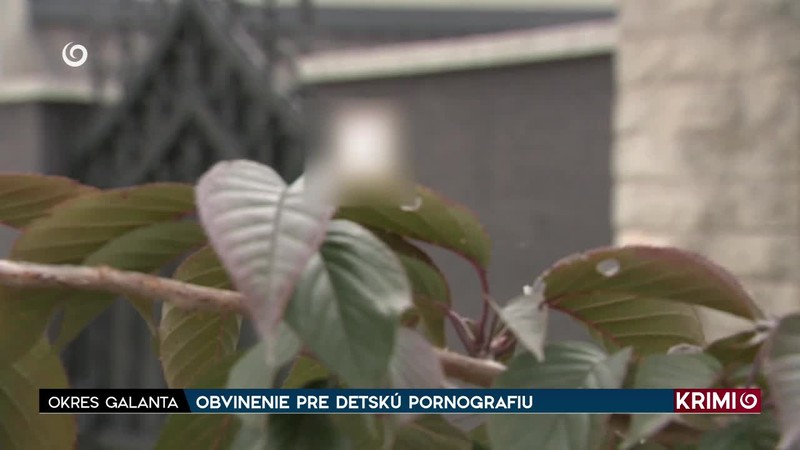 OBVINENIE PRE DETSKÚ PORNOGRAFIU