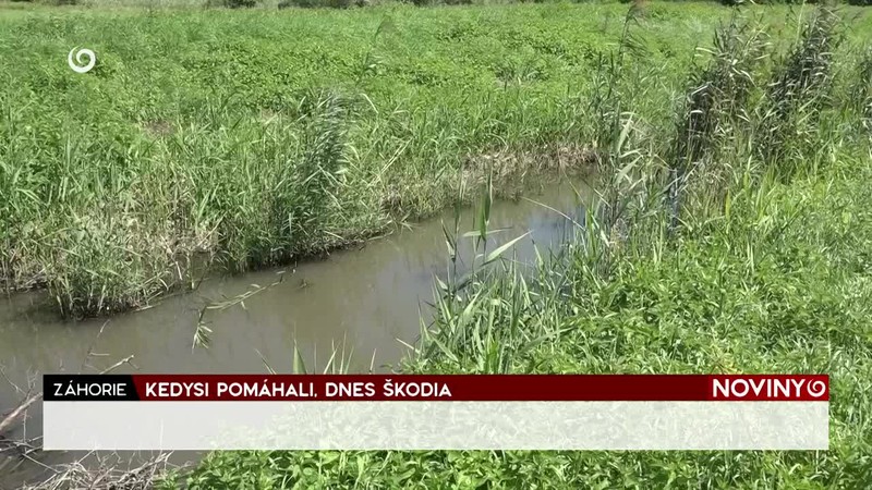 KEDYSI POMÁHALI, DNES ŠKODIA