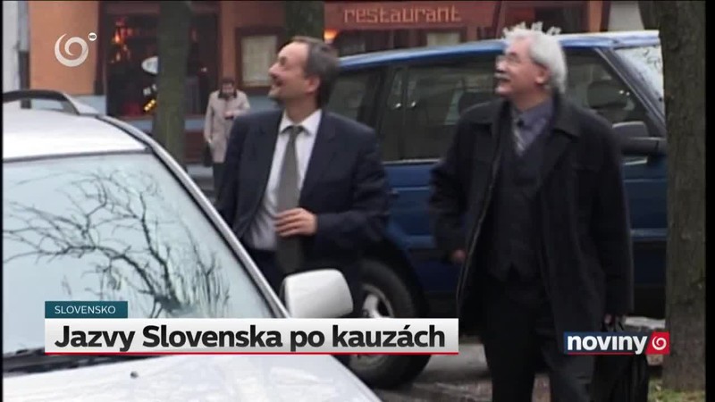 Jazvy Slovenska po kauzách