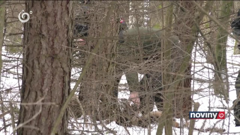 Zastrelili mu čistoktvné vlčiaky