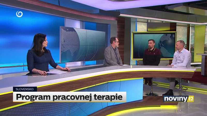 Program pracovnej terapie