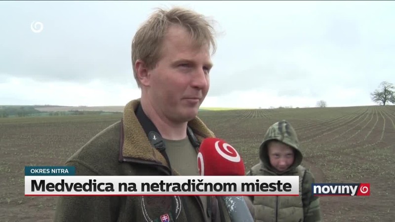 Medvedica na netradičnom mieste
