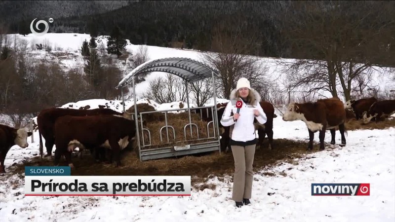 Príroda sa prebúdza