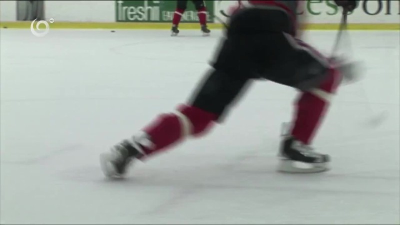 Bocianom našli novú rodinu