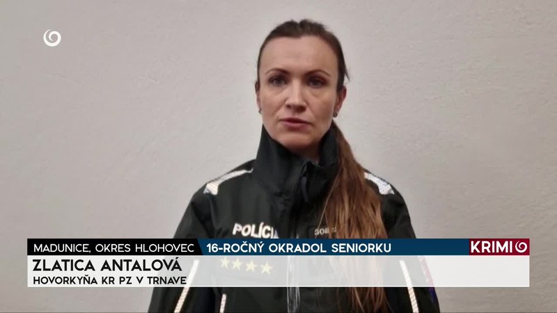 16-ROČNÝ OKRADOL SENIORKU