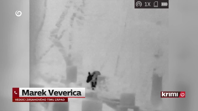 Ľudia sa boja medveďov na cintoríne