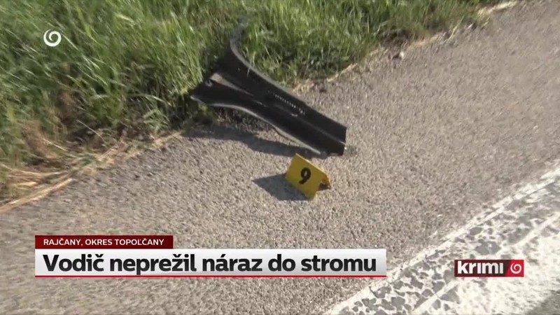 Vodič neprežil náraz do stromu