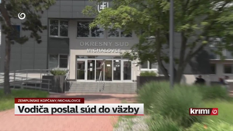 Vodiča poslal súd do väzby