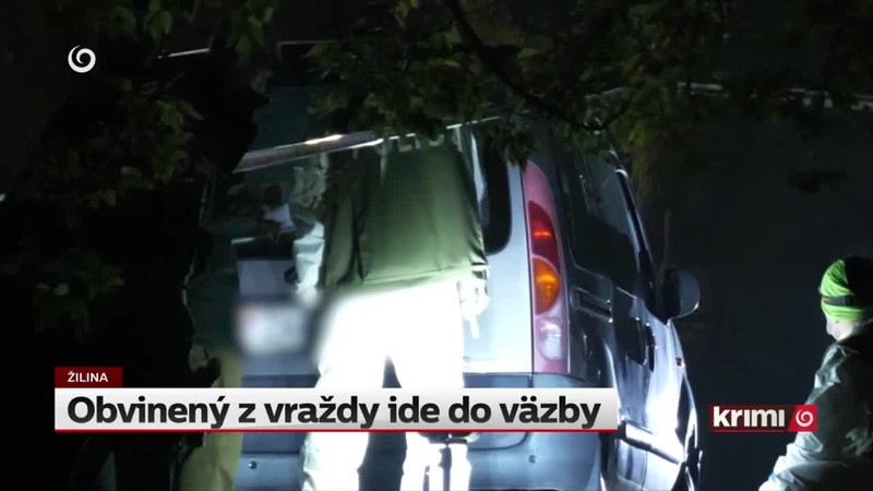 Obvinený z vraždy ide do väzby