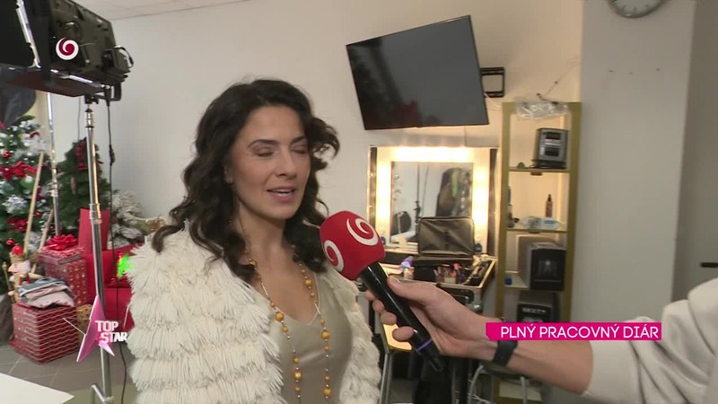 PLNÝ PRACOVNÝ DIÁR