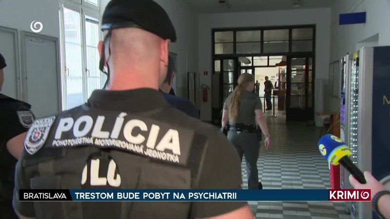 TRESTOM BUDE POBYT NA PSYCHIATRII