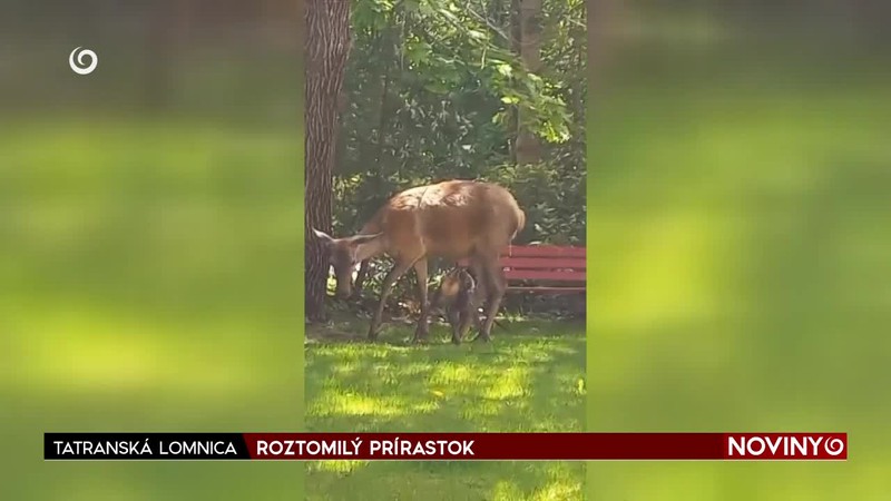 ROZTOMILÝ PRÍRASTOK
