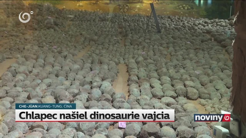 Chlapec našiel dinosaurie vajcia