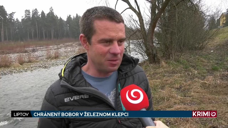 CHRÁNENÝ BOBOR V ŽELEZNOM KLEPCI