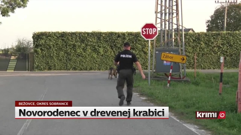 Novorodenec v drevenej krabici