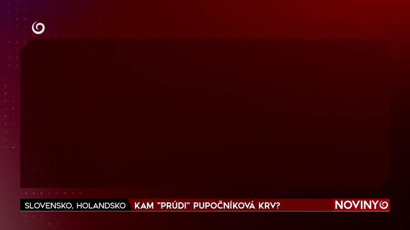 KAM "PRÚDI" PUPOČNÍKOVÁ KRV