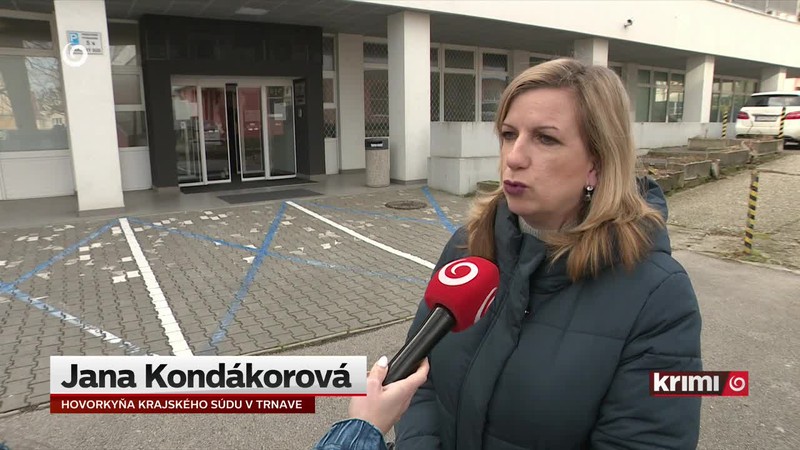 Rozhodovanie o väzbe pre agresora