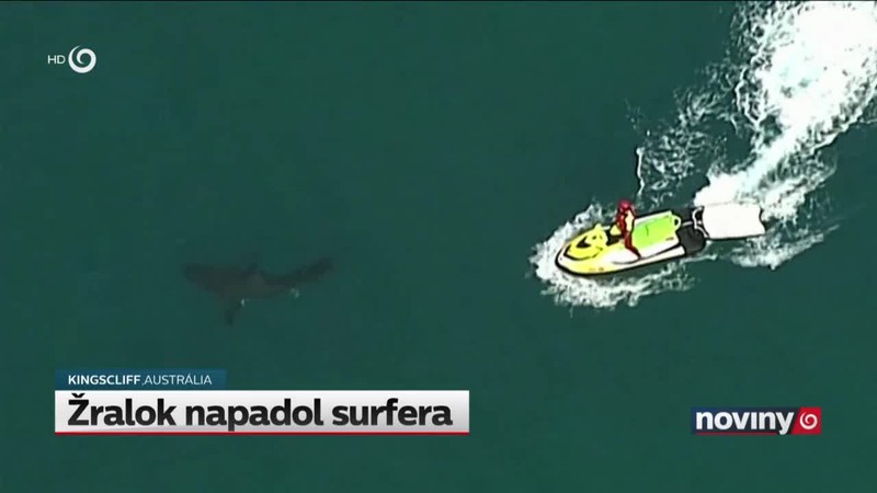 Žralok napadol surfera