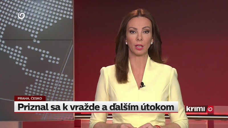 Priznal sa k vražde a ďalším útokom
