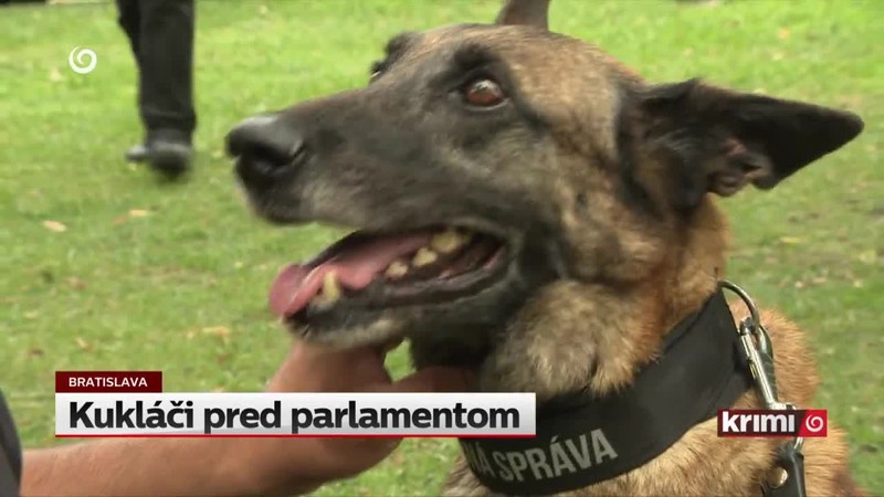 Kukláči pred parlamentom