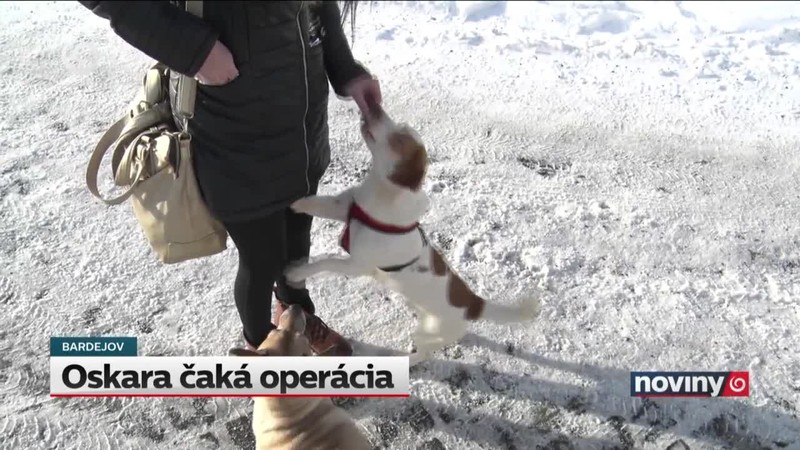 Oskara čaká operácia