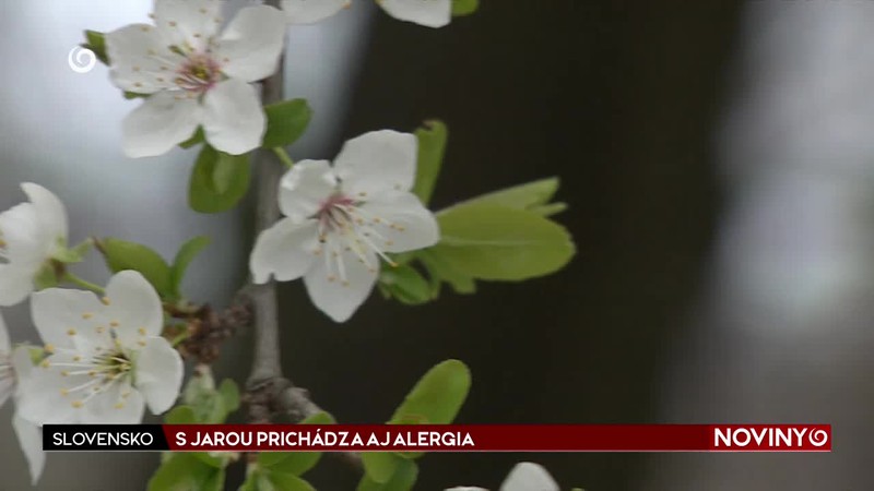 S JAROU PRICHÁDZA AJ ALERGIA