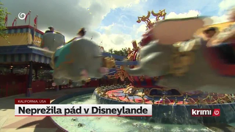 Neprežila pád v Disneylande