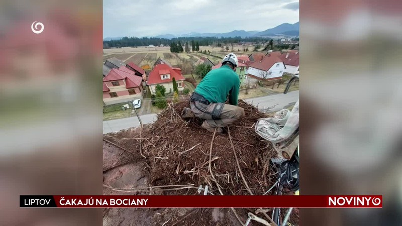 ČAKAJÚ NA BOCIANY