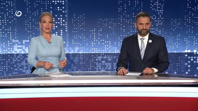 VESLÁR MEDZI DELFÍNMI