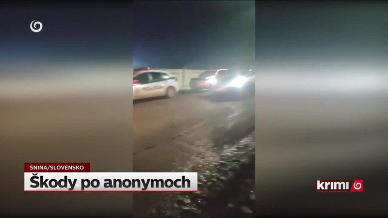 Škody po anonymoch