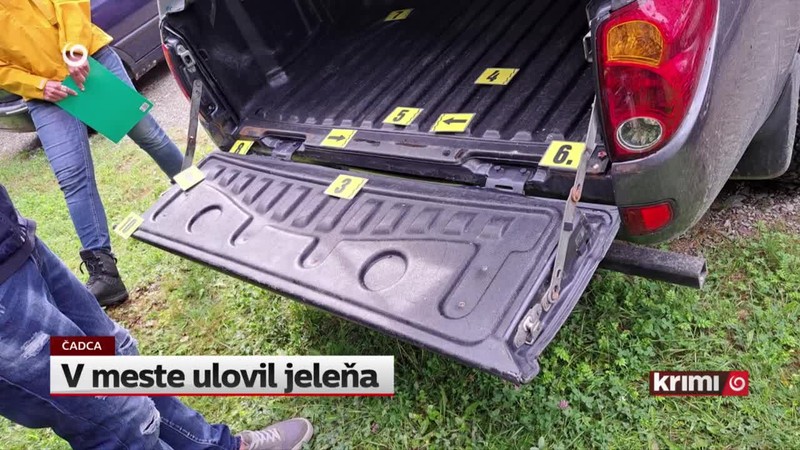 V meste ulovil jeleňa
