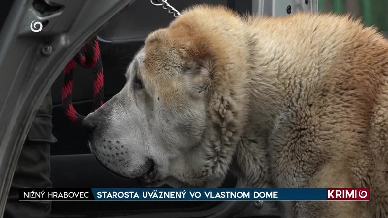 STAROSTA UVÄZNENÝ VO VLASTNOM DOME