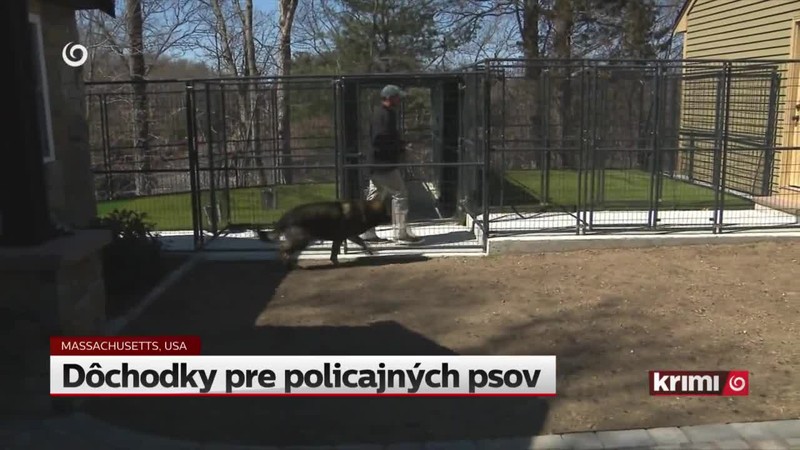 Dôchodky pre policajných psov