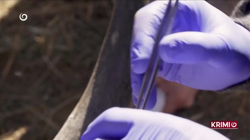 RÁDIOAKTÍVNE NOSOROŽCE