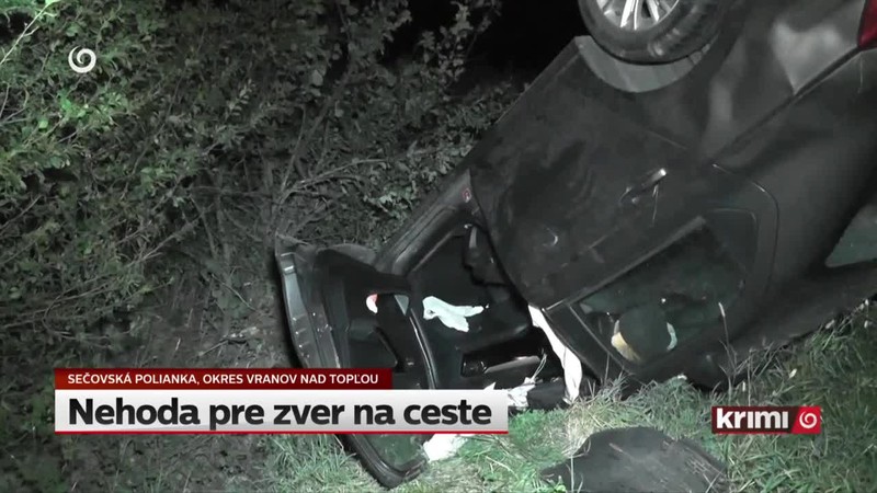 Nehoda pre zver na ceste