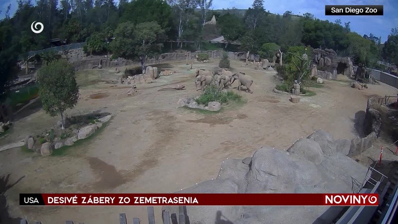 DESIVÉ ZÁBERY ZO ZEMETRASENIA