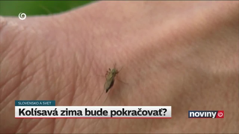 Kolísavá zima bude pokračovať?