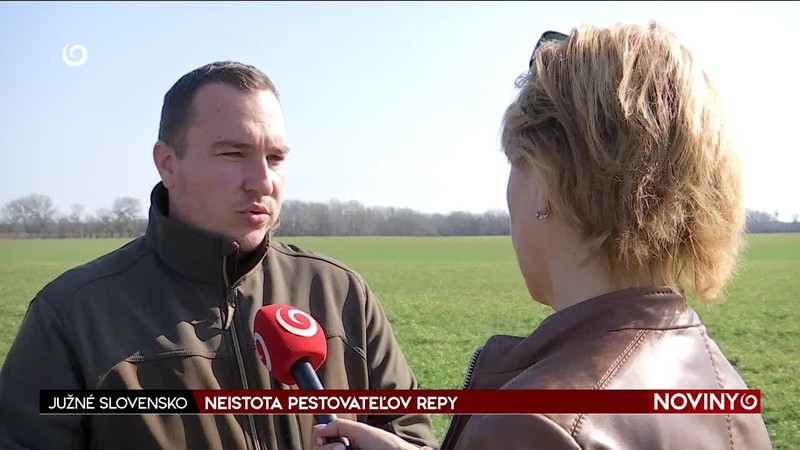 NEISTOTA PESTOVATEĽOV REPY
