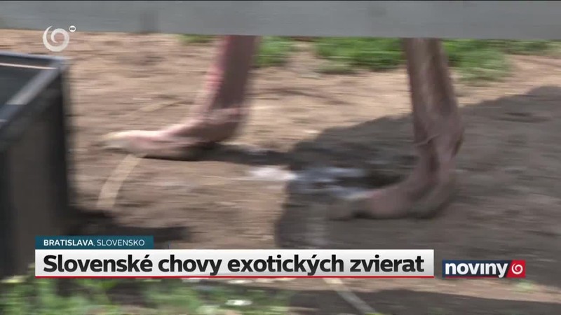 Slovenské chovy exotických zvierat