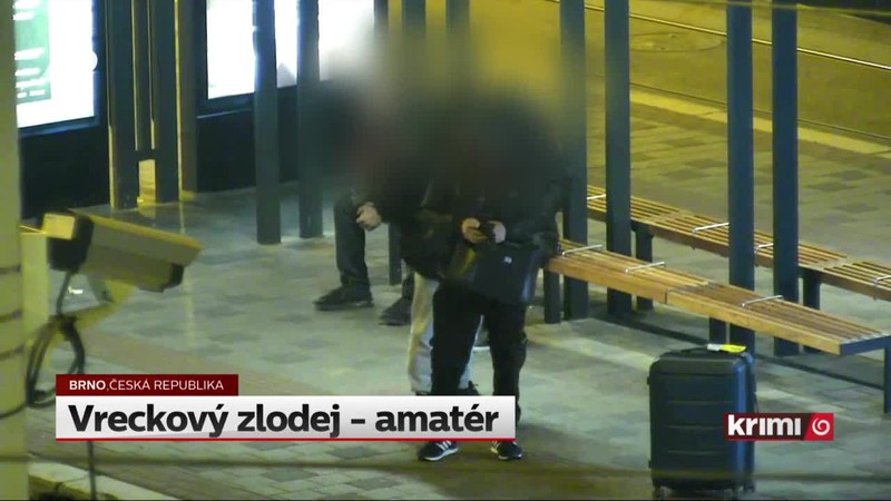Vreckový zlodej - amatér
