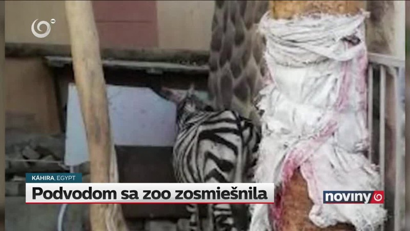 Podvodom sa zoo zosmiešnila