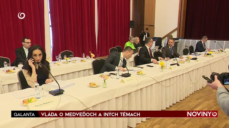 VLÁDA O MEDVEĎOCH A INÝCH TÉMACH